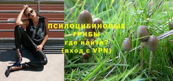 спайс Абинск