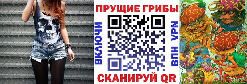 MEGA зеркало  Пошехонье  Галлюциногенные грибы Magic Shrooms  как найти наркотики 